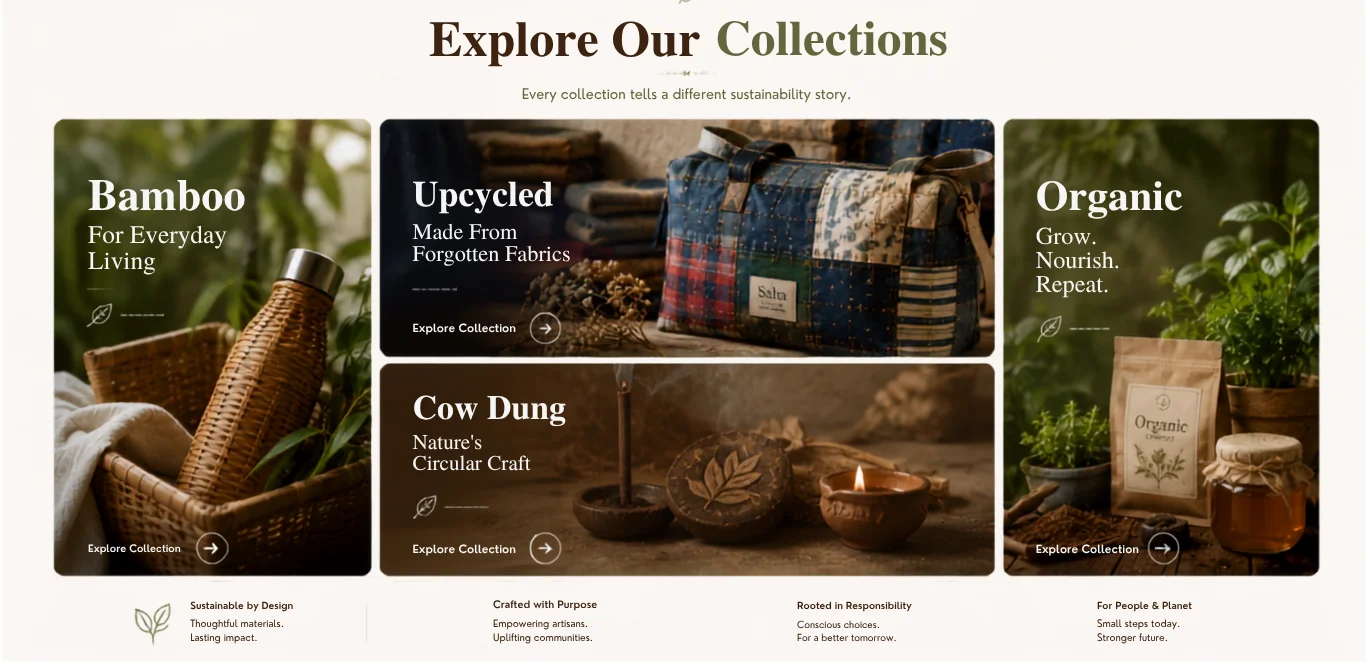 Explore Our Collections